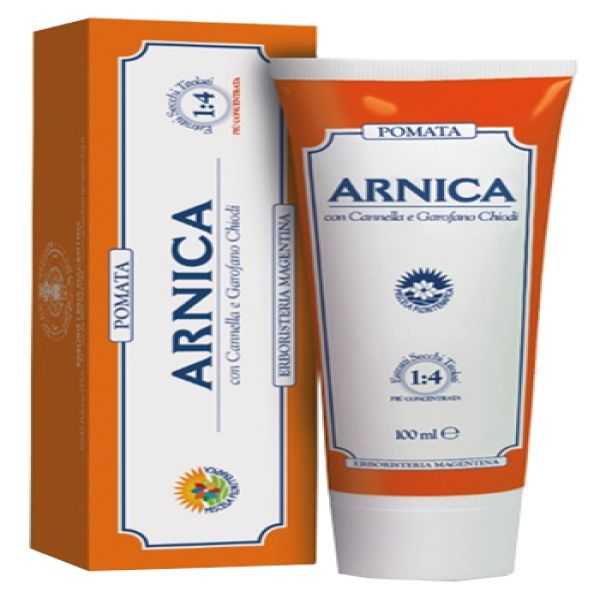 ARNICA FORTE POMATA 100ML
